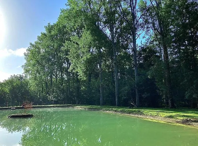 빌라 La Palombiere