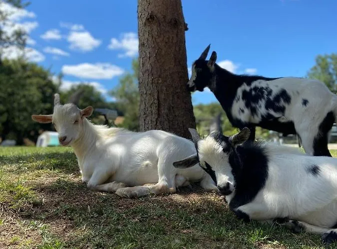 La Palombiere Saint-Clar